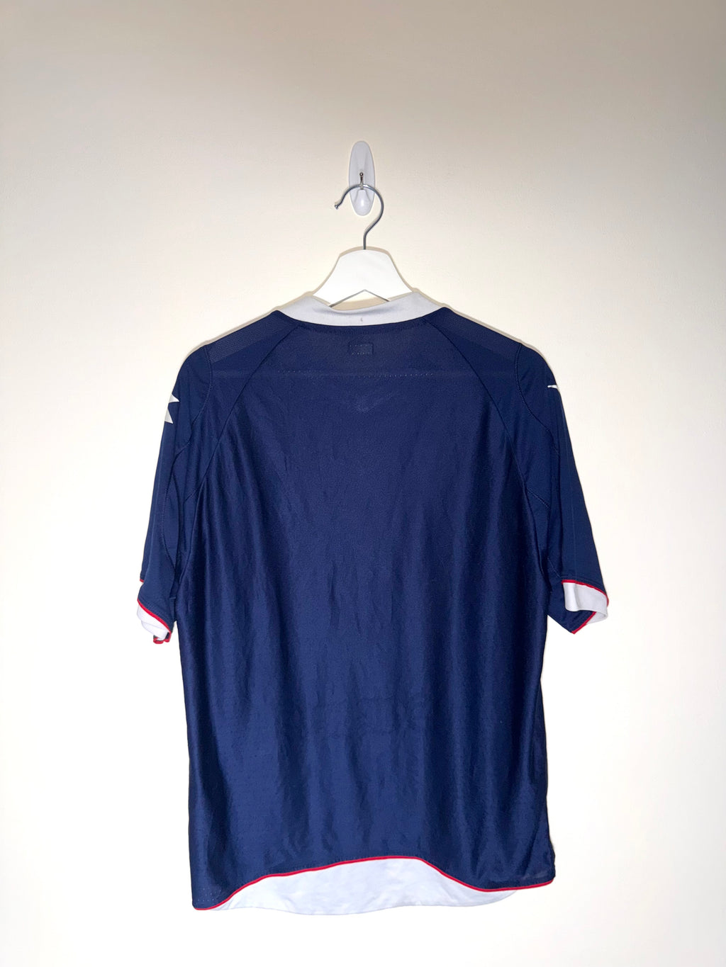 Scotland 2008/10 Home Shirt L (8.5/10)